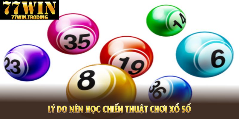Lý do nên học chiến thuật chơi xổ số 77WIN trước khi đặt cược