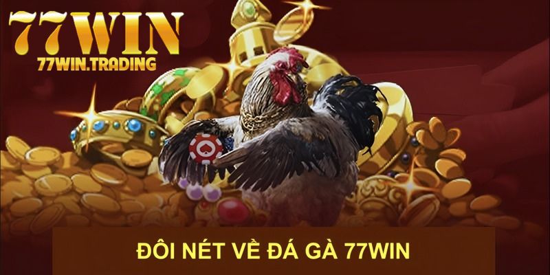 Thành viên tham gia trải nghiệm sân chơi chọi đỉnh cao